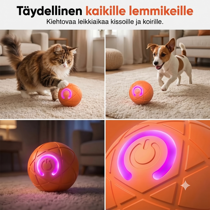 Automaattinen pomppiva pallo lemmikeille
