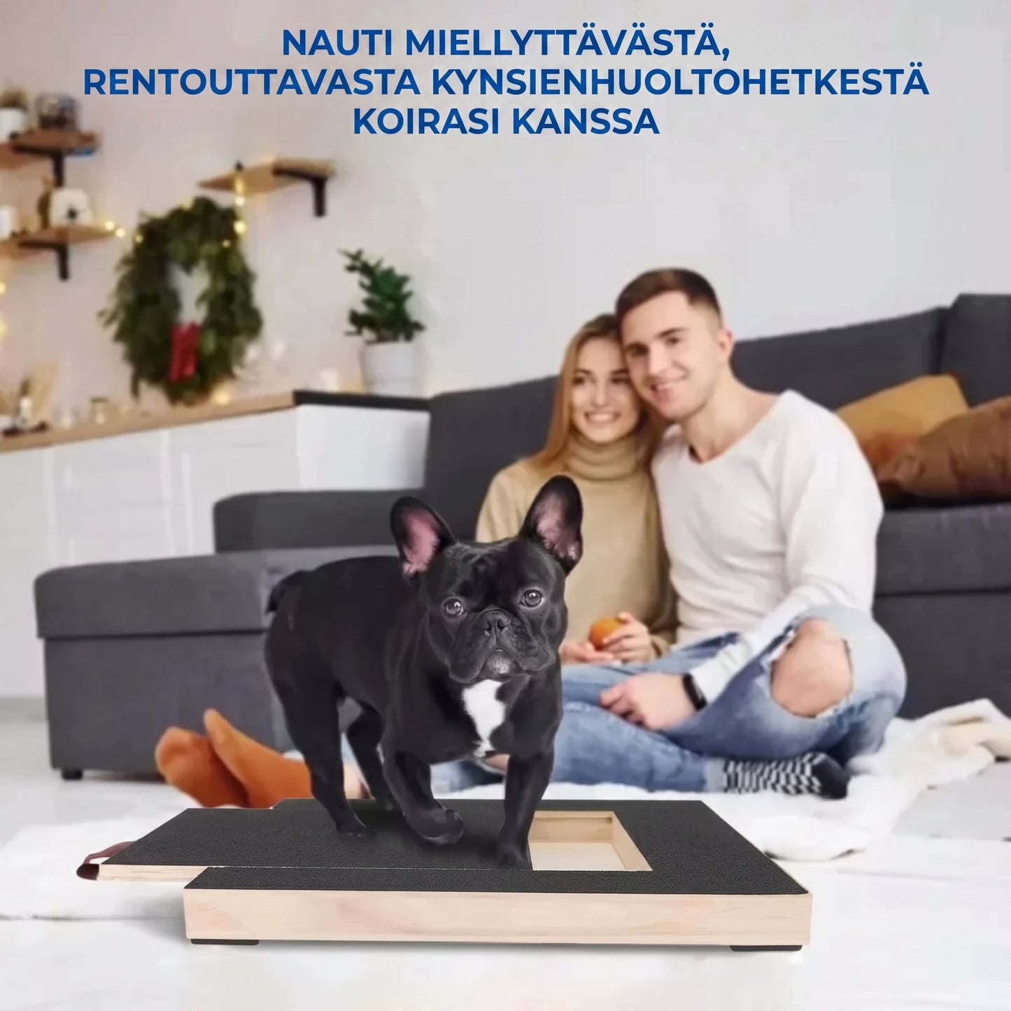 Puinen raapimalauta koiran kynsille herkkulokerolla