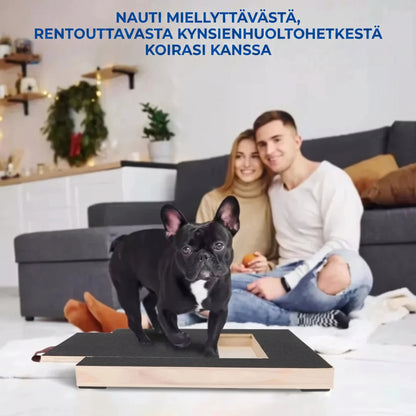 Puinen raapimalauta koiran kynsille herkkulokerolla