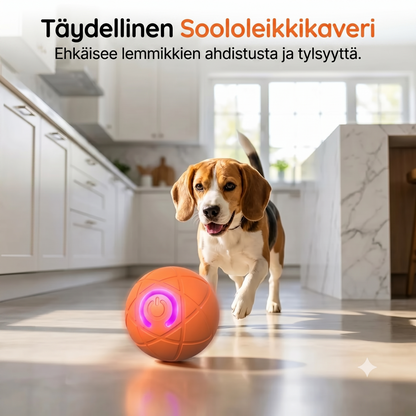 Automaattinen pomppiva pallo lemmikeille