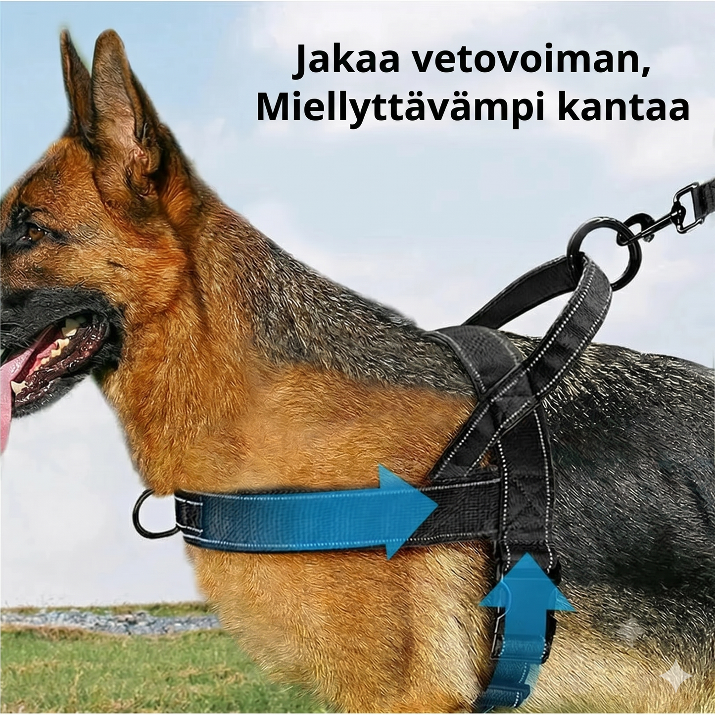 Vankka taktiikka- ja koiravaljas kahvalla