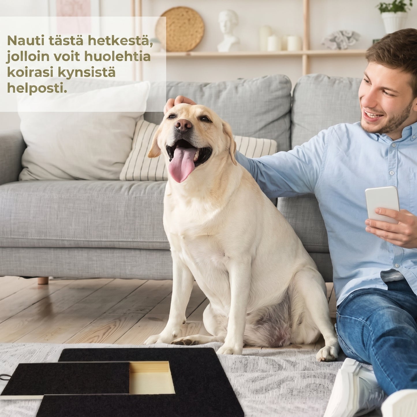 Puinen raapimalauta koiran kynsille herkkulokerolla