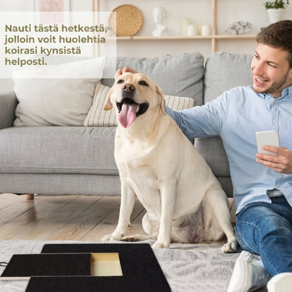 Puinen raapimalauta koiran kynsille herkkulokerolla