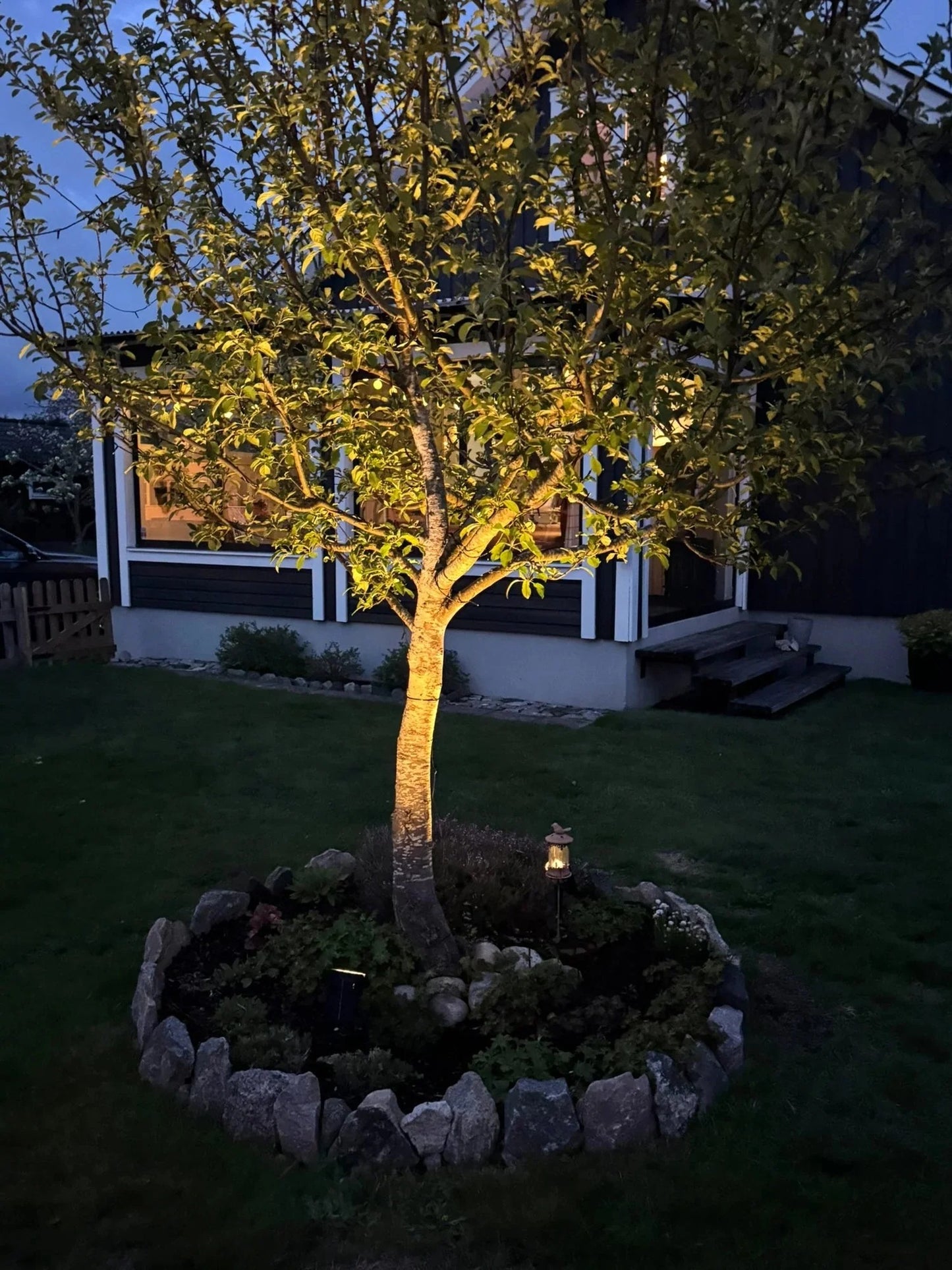Aurinkokennovalaisin puutarhaan